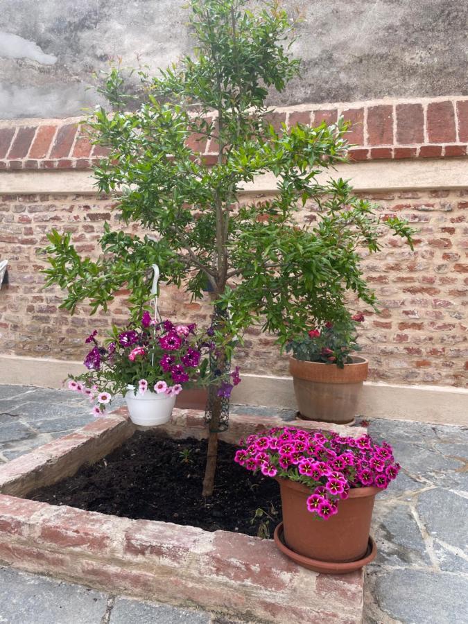 Residenza Nikol Appartamento Giulia Casale Monferrato Luaran gambar